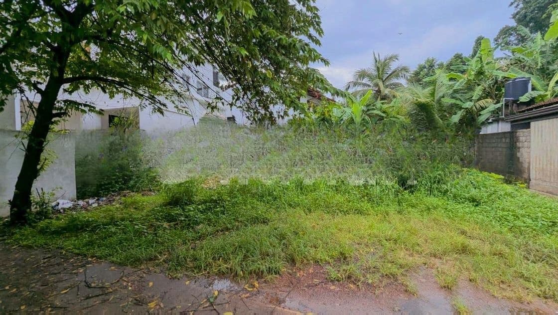 කඩවත – රාගම පාරේ වටිනා තැනිතලා ඉඩමක් විකිණීමට UP 13612