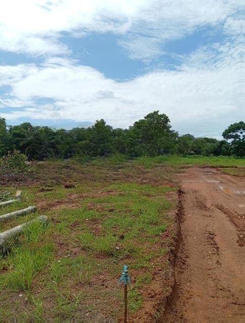 Lake Facing Land for Sale in Nawala