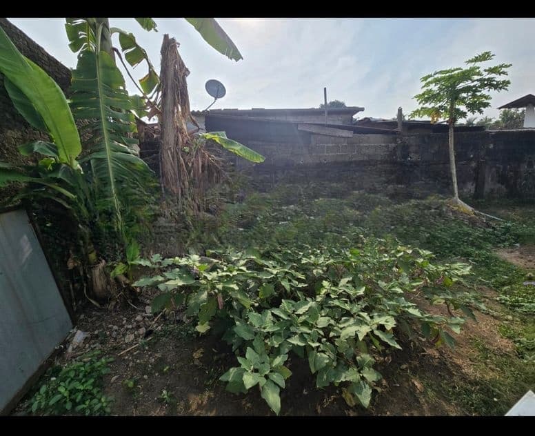 Dehiwala : 19.85 Perches Land for Sale at Attidiya