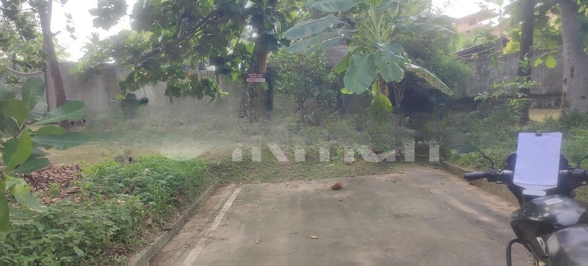 Residential Land for Sale in Thalahena