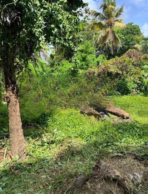 LAND FOR SALE IN MAHARAGAMA(LS-640)