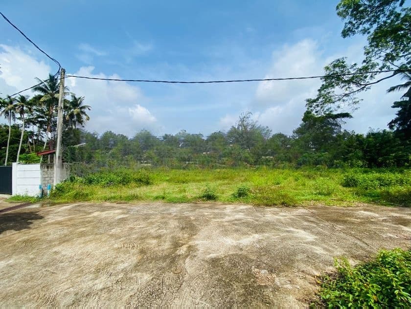 15 Perches Superb Land facing Beautiful Paddy Field, Katunayake