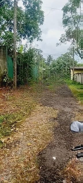 Land for Sale Pitipana