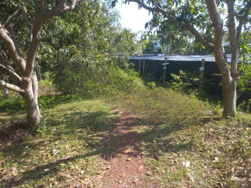 230 pearch land with ongoing fish farm for sale in Katunayaka (SSPL-379)