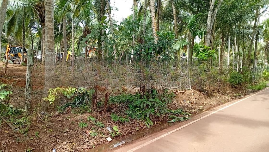 Near Negombo Road Land for Sale in Kandana Dolahena
