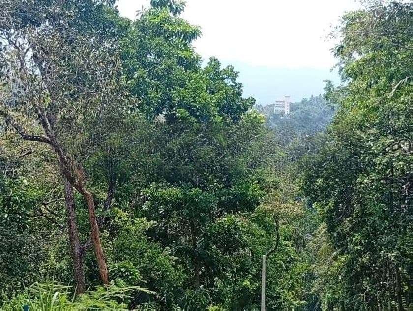 Land for Sale Ampitiya