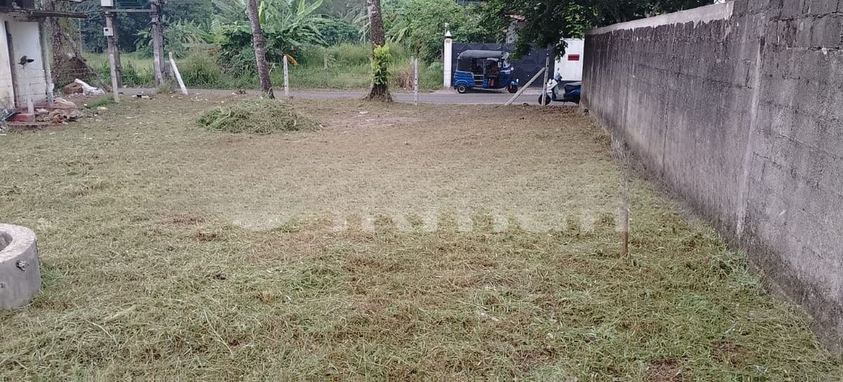 Best Residential Land for Sale Homagema