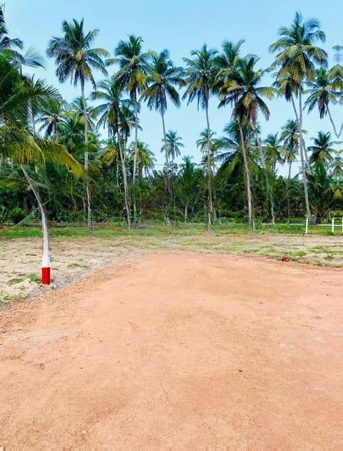 පම්බලට නුදුරින් බිම් කොටස්