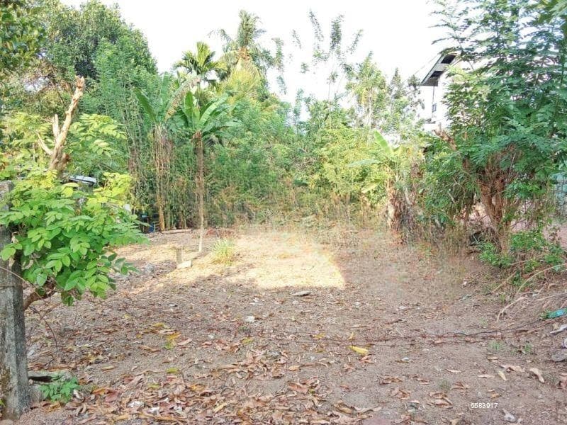 37 perches Prime bare land for sale in Malabe for Rs. 2.60 million (per perch)