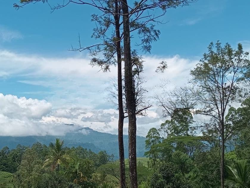 Land for Sale Ramboda