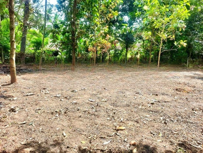 40P Land for Sale in Minuwangoda