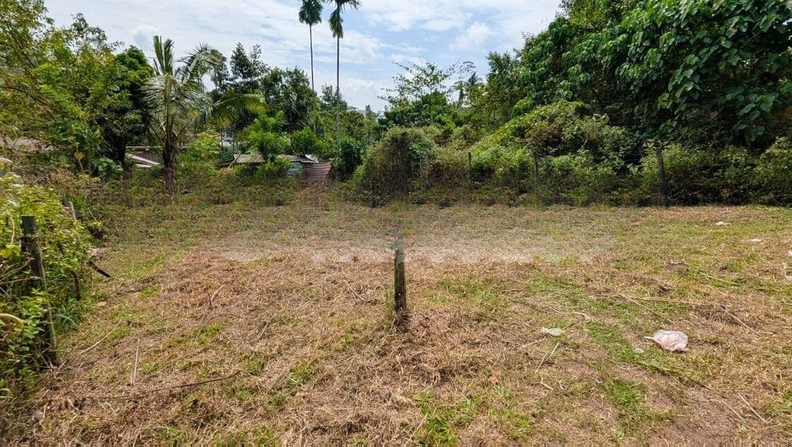 හෝමාගම නගර මධ්යයෙන්ම වටිනා ඉඩමක්