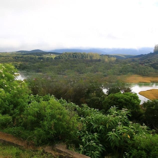 Land for Sale Nuwara Eliya. (ID : NWRL001)