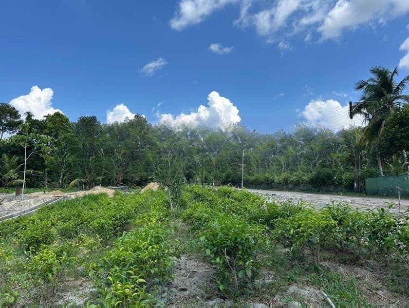 ගාල්ල උඩුගම පාර ජයන්ති හංදියෙන් අගනා බිම් කොටසක් විකිණීමට