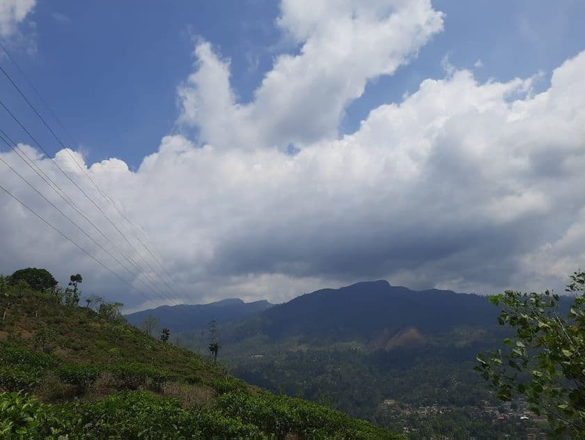 Land for Sale in Pundaluoya