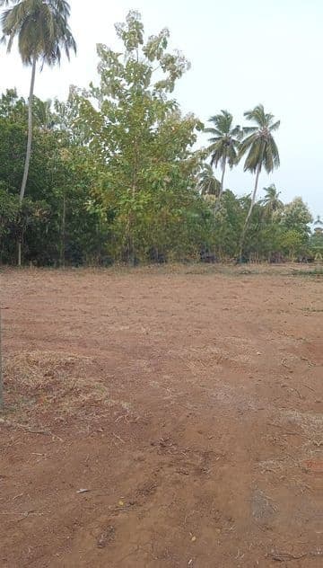 සින්නක්කර බිම් කොටස් අනුරාධපුරයෙන්