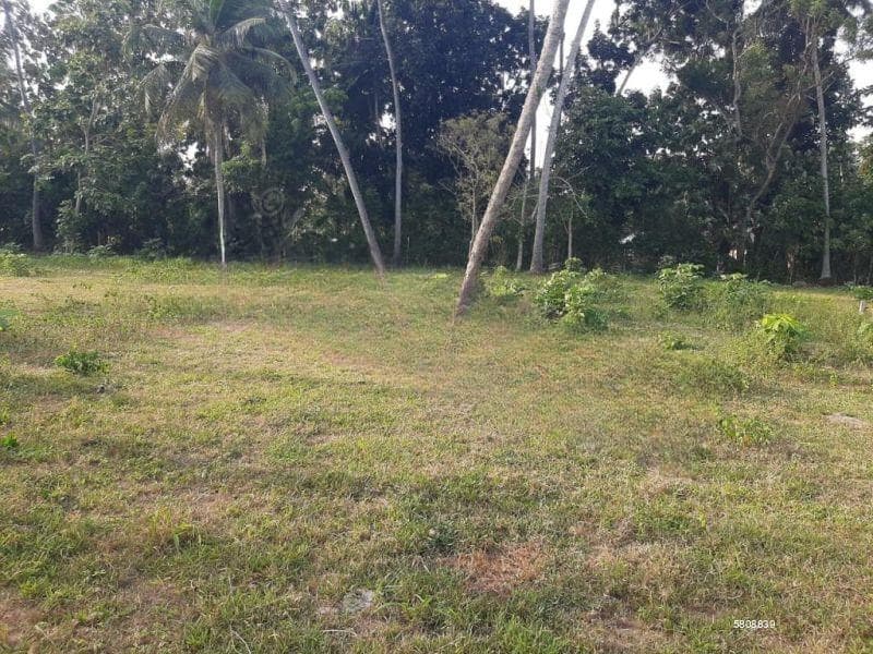 10 Perchers Residential Land For Sale In Negombo / Daluwakotuwa ( Silver Sand Road ) / 01 Km From Loyala College.