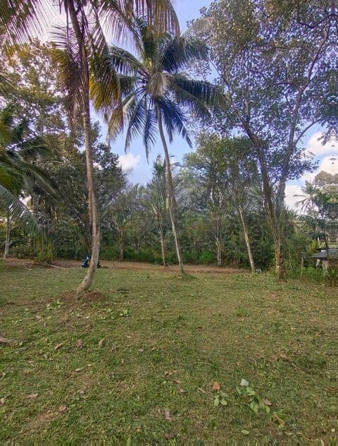 Residential Land for Sale Kadawatha කඩවත