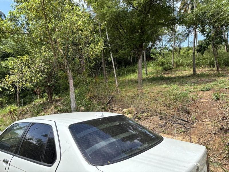 28 p flat land with beautiful view at Haragama Kandy 265000/per perch Price Negotiable