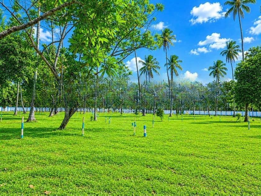 Commercial Land for Sale in Mellawagedara P5