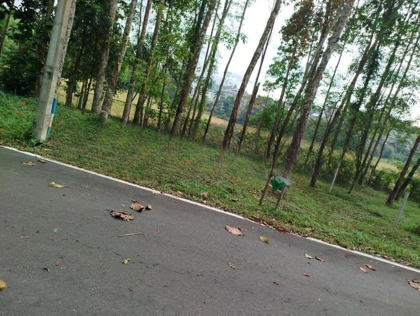 හෝමාගම නගරයට නුදුරින් බිම් කොටස් විකිණීමට