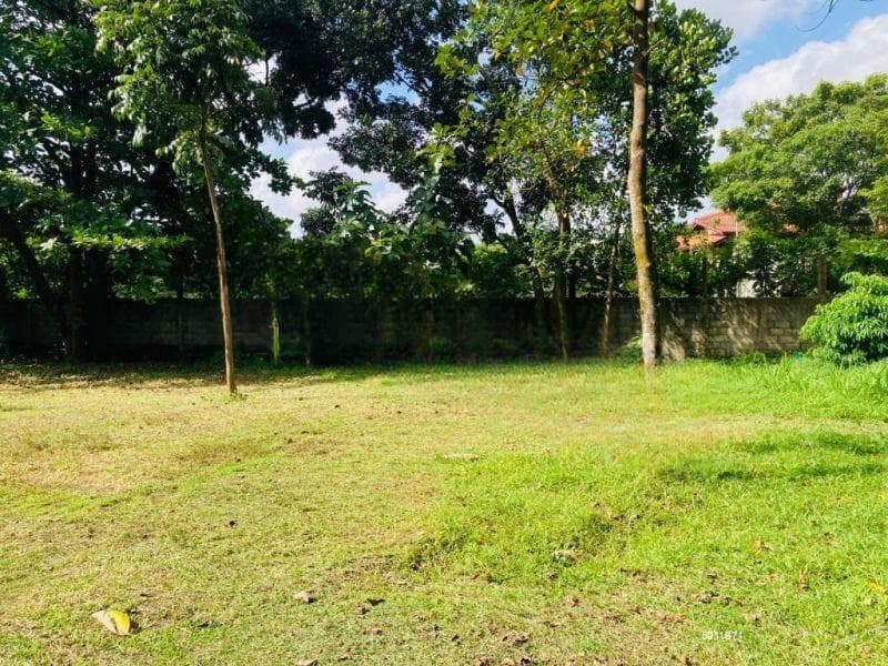 Land for Sale in Kiribathgoda