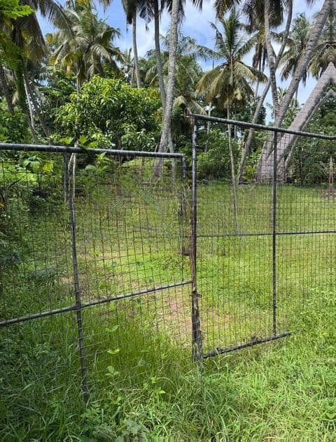 Square Land for Sale – 200m from Colombo–Chilaw Main Road