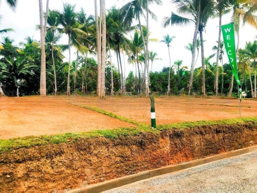 Valuable Land for Sale Ja Ela