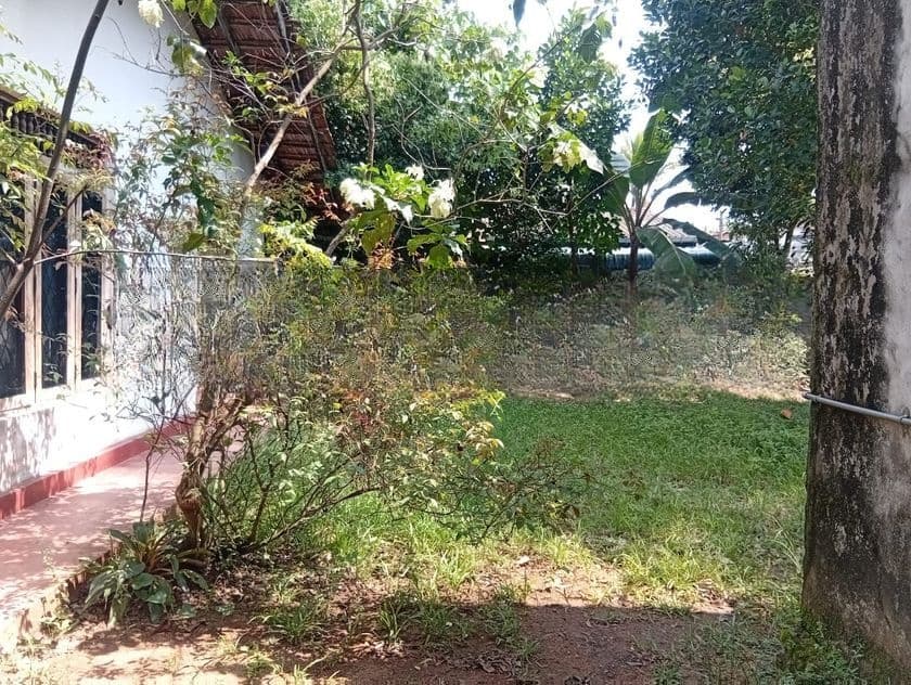 High Residential land for sale Barnus place Colombo 7