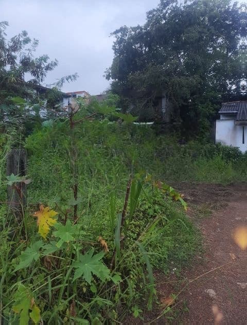Land For Sale In Boralesgamuwa Raththanapitiya