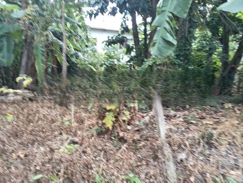 Valuable Land for Sale Maharagama