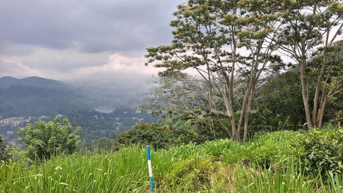 Land for Sale in Pussellawa Wahurupitiya
