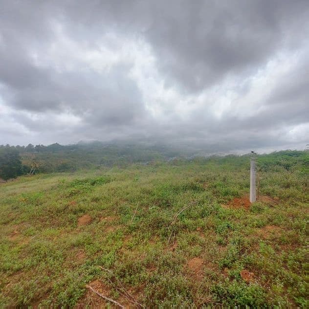 Land for Sale Weniwalkola, Kahathuduwa. ( ID : WNWL001 )