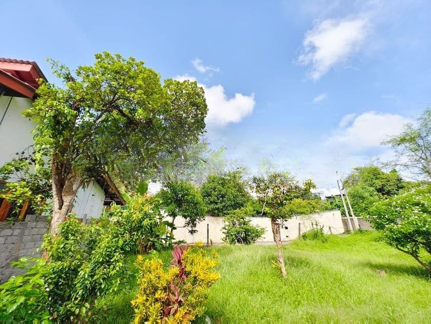 Superb Land for Sale in Wattala