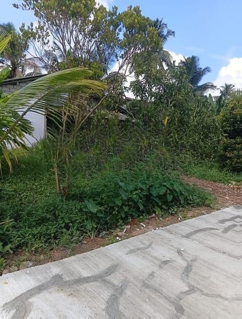 House for Sale in Kandana