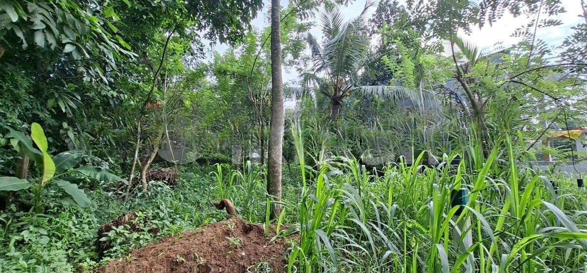 Land for Sale Boralesgamuwa Gangarama Road