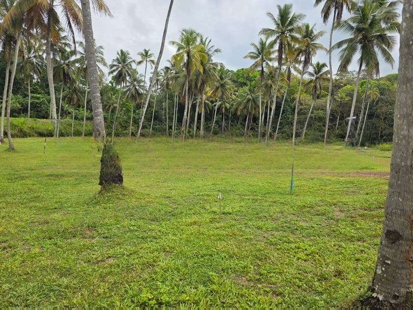 Best Land for Sale Polgahawela