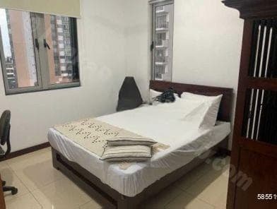 Apartment for Rent – On320, Colombo 02