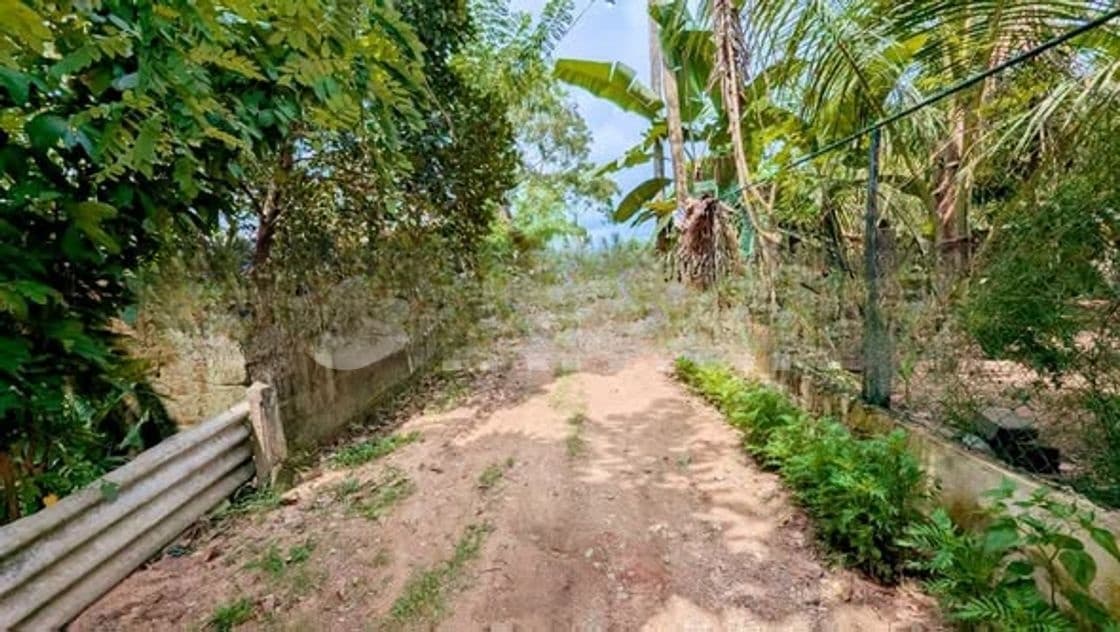 ගම්පහ – ඉඳිගොල්ලෙන් වටිනා බිම් කොටසක් විකිණීමට / KM 13828