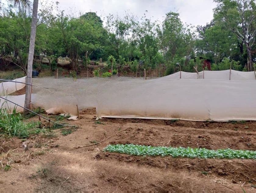 6 Acre Scenic Agricultural Land for Sale – Thalathuoya, Kandy