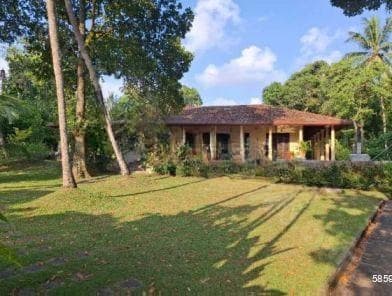 Cinnamon Villa, Ahangama (Inland Villa ) For Sale