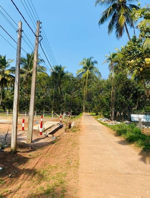 Land for sale Pambala