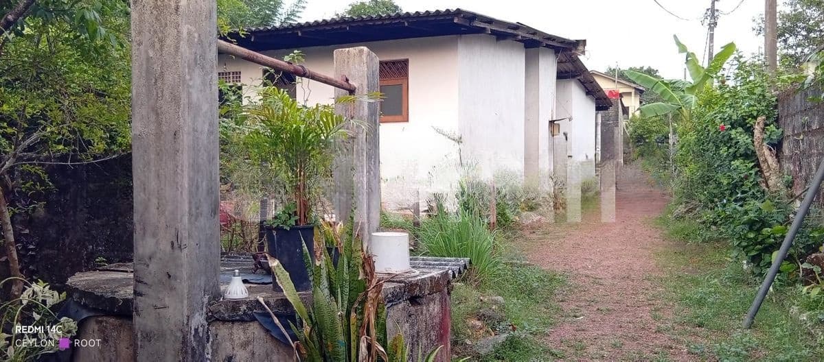A Long Piece of Land (දිග් අතට පිහිටා ඇති ඉඩමක්) For Sale in Wattegedara