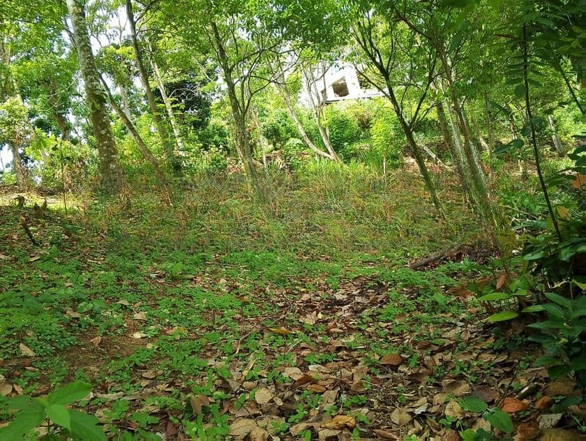 Land for Sale in Wawulugala