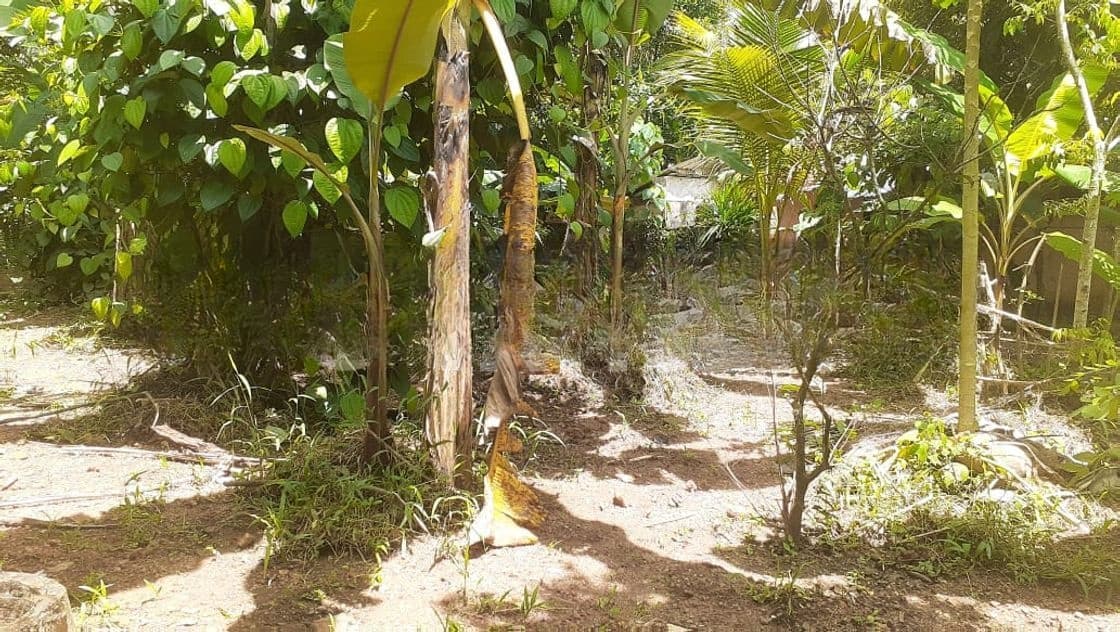 15.9 Perches Land For Sale in Kadawatha (SSPL-461)