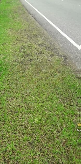 Ragama : 18.67P Highly Residential Land for Sale