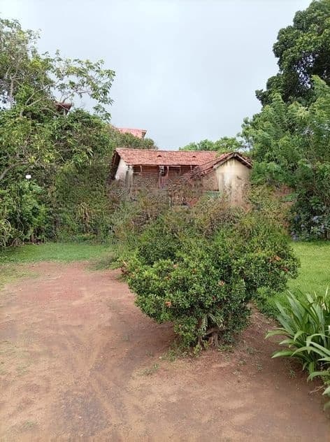 49 Perches supreme Main Road facing land for sale (C7-10215)
