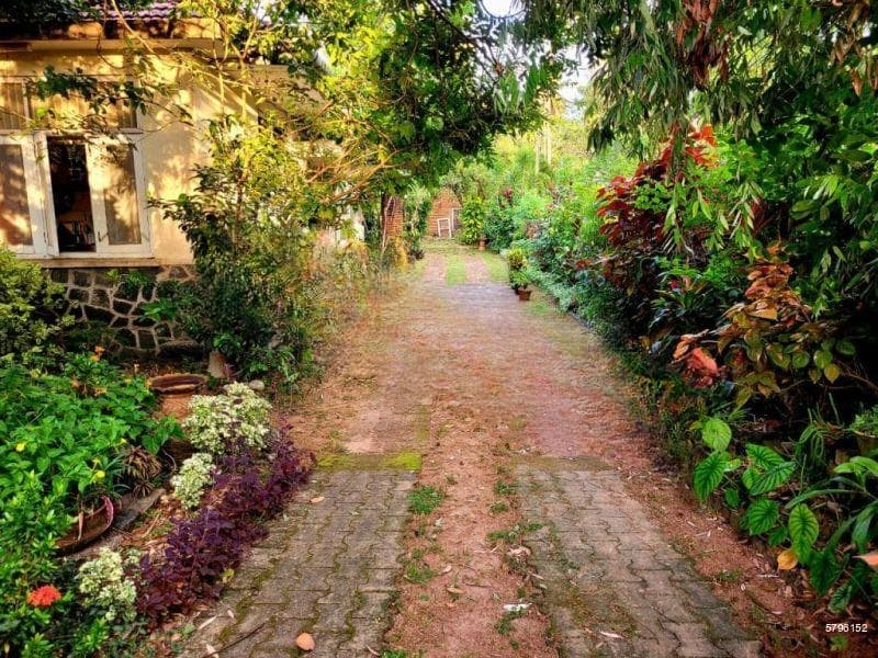 ▪️Land with House▪️For Sale▪️Mount Lavinia▪️(NK10774)